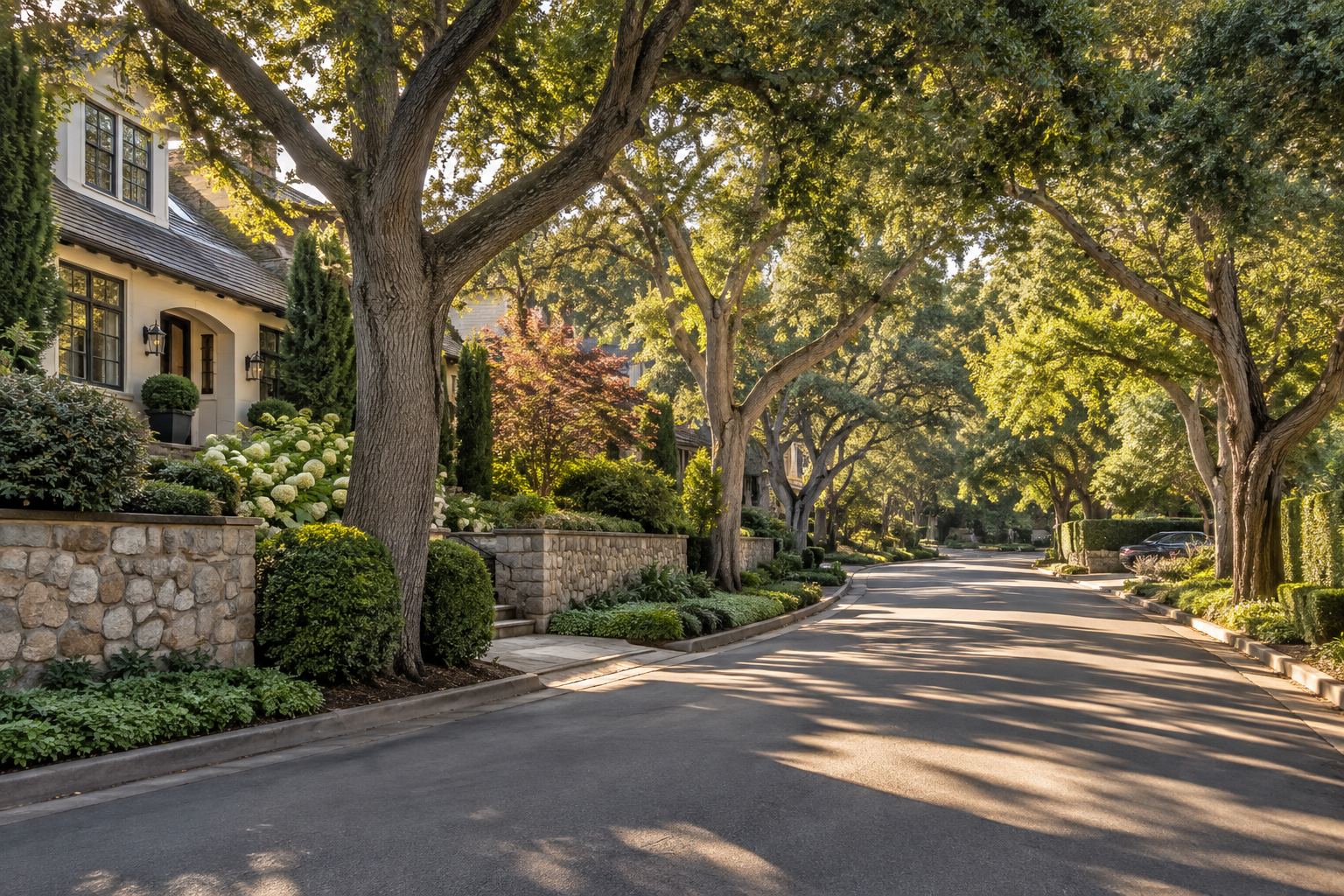 A tree lined Peninsula street, illustrative